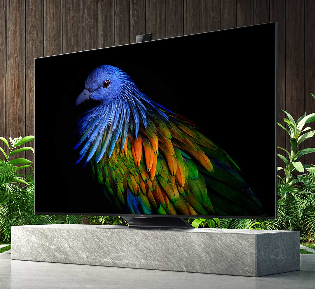 Qled-Tivi-Xiaomi